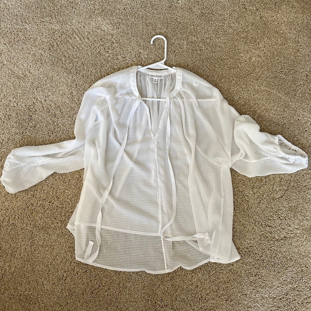 Sheer White Blouse